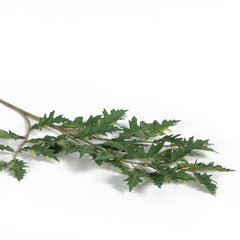 Christmas Maple Leaves