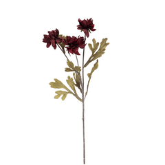 Dahlia Flower Burgundy