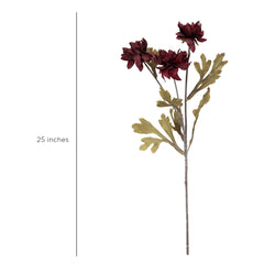 Dahlia Flower Burgundy
