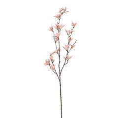 Light Pink Everygreen Flower