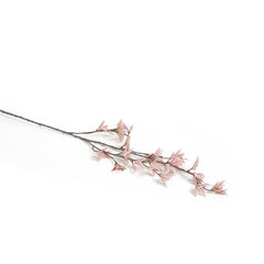 Light Pink Everygreen Flower
