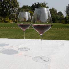 Z1872  Red Wine Elegance Set of 2