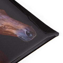 Platex Acrylic Tray Horse Portrait