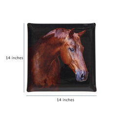 Platex Acrylic Tray Horse Portrait