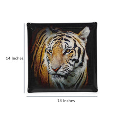 Platex Acrylic Tray Tiger Portrait