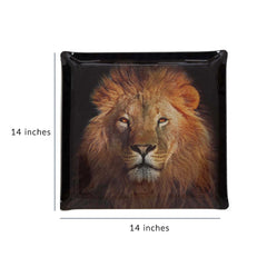 Platex Acrylic Tray Lion Portrait
