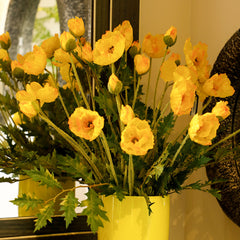 Aconitum Yellow Flowers