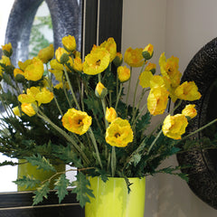Yellow Poppy Flowers