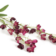 Violet Bellflowers