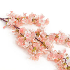 Peach Cherry Blossom Flowers