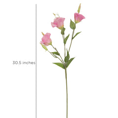 Pink Lisianthus Flowers
