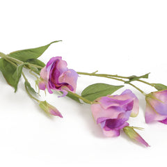 Purple Lisianthus Flowers