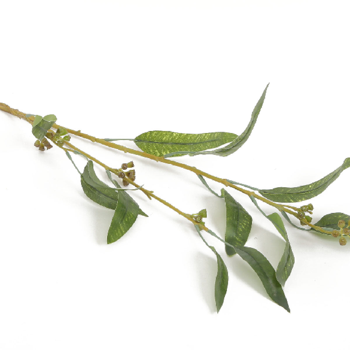Eucalyptus Leaf Stem Small