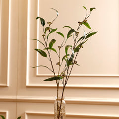 Eucalyptus Leaf Stem Small