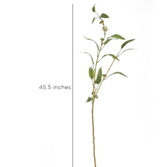Eucalyptus Leaf Stem Small