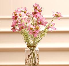 Pink Sky Cosmos Flowers