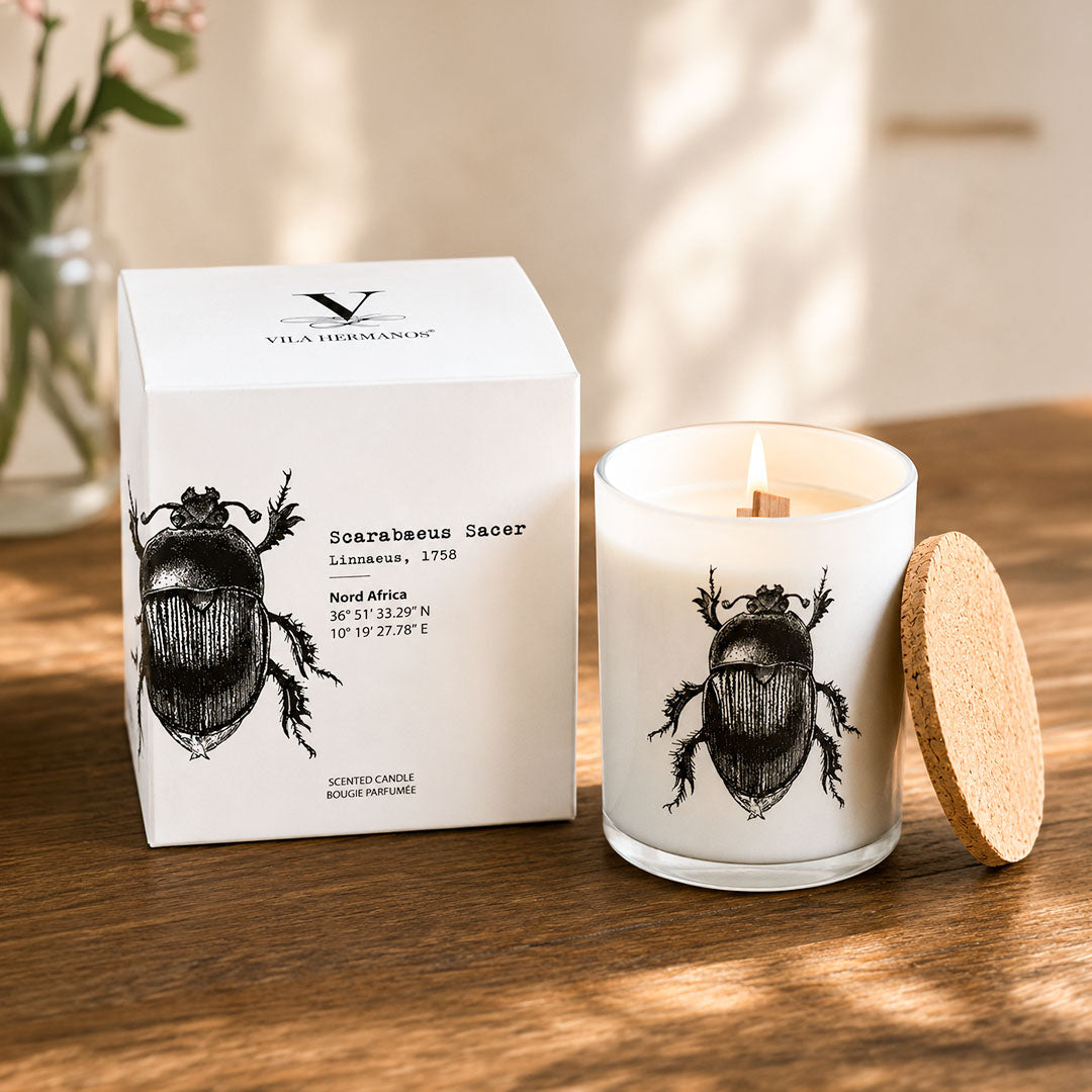Vila Hermanos Insect Scarabeus Sacer Jar Candle in Wood Wick