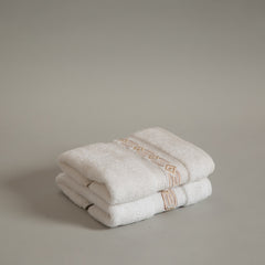 Snowy Hand Towels Set of 2