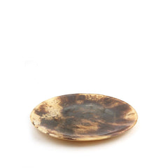 Ant Earth Dinner Plate