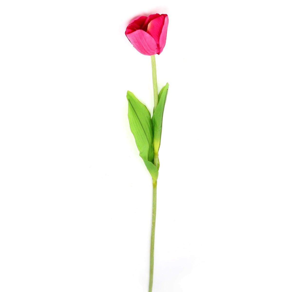 Tulip X1 Flower