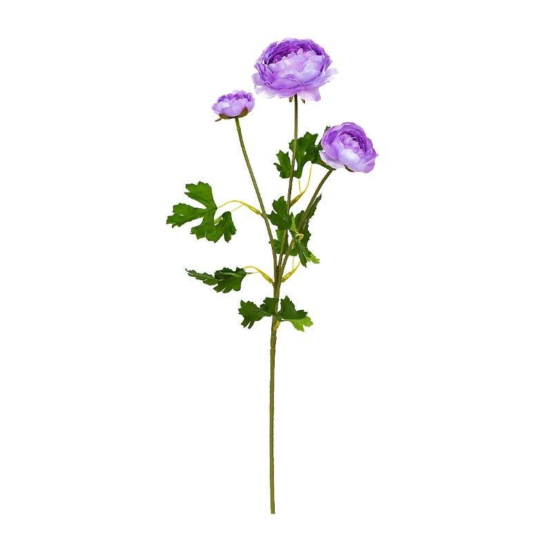 Aconitum Purple Flowers