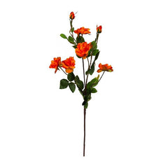 Kyauta Rose Orange Flowers - Home4u