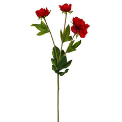 Pritinite Red Flowers