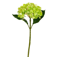 Hortensia Lemon Flowers - Home4u