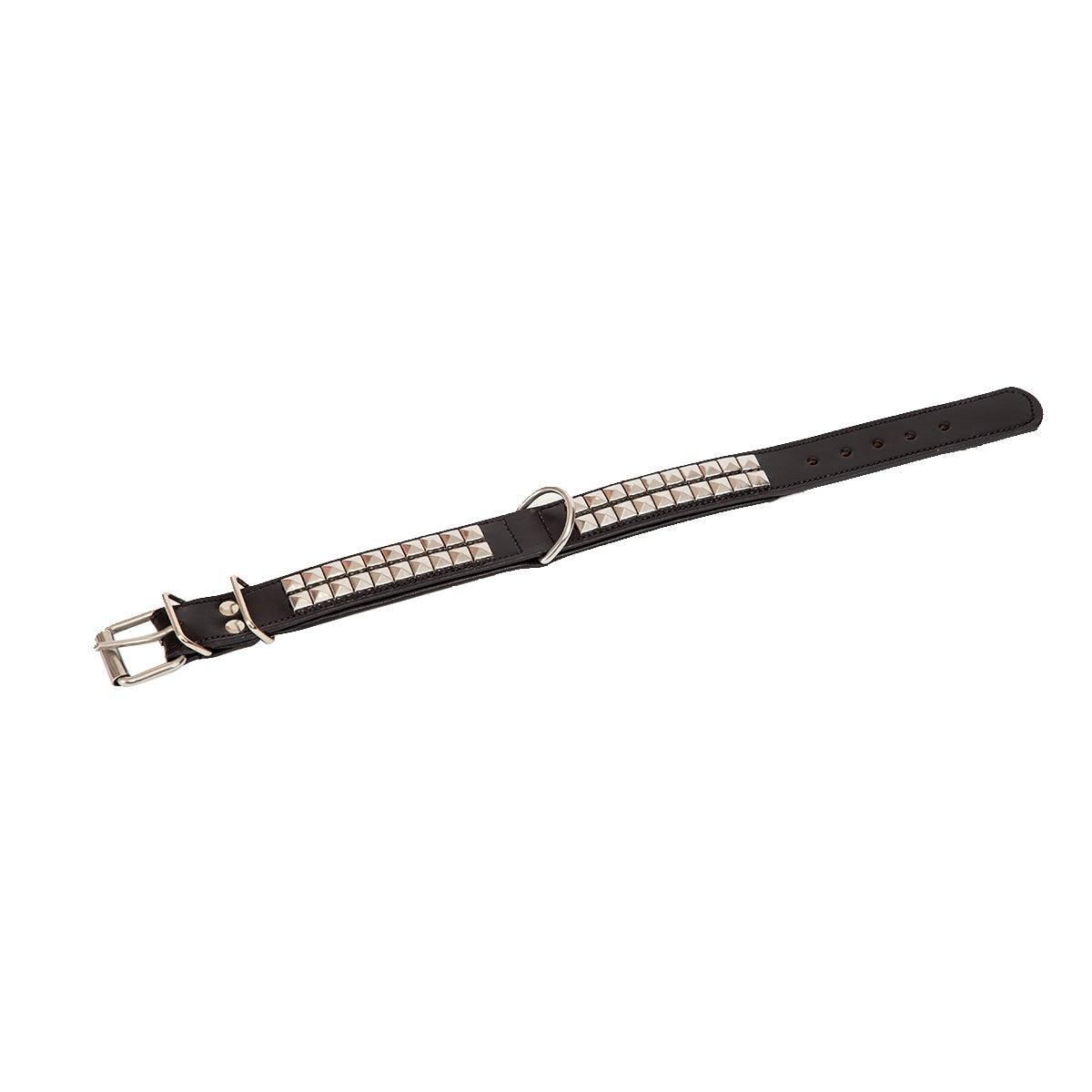 Coco Dog Collar Large - Home4u