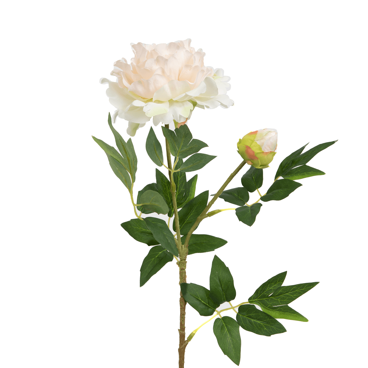 Peach Peony Flower - Home4u