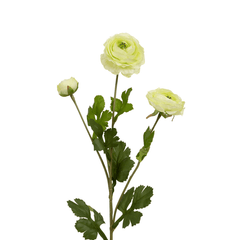 Xuri Renunculus Light Green Flower - Home4u