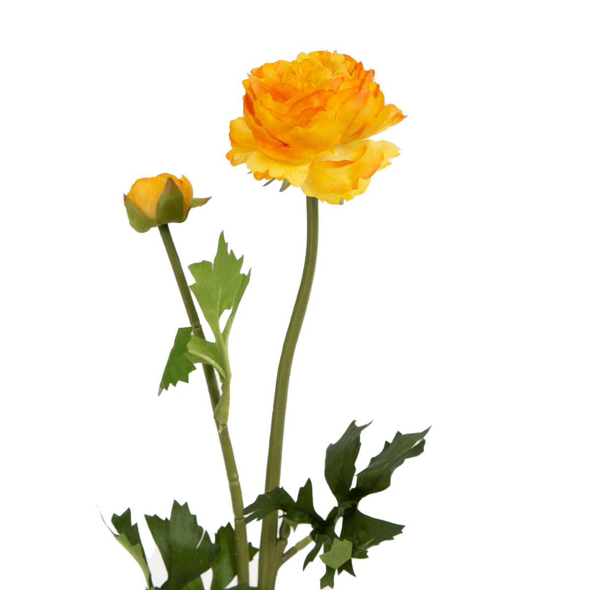 Gaceful Ranunculus Flower - Home4u