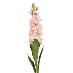 Delphinium Light Pink Flower - Home4u