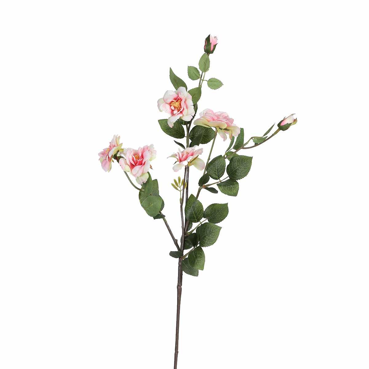 Buy Iceland Rose Flower online in India – Home4u