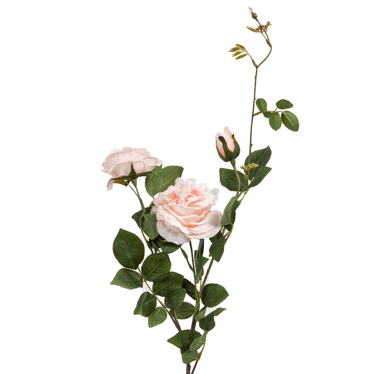Peony Rose Flower - Home4u