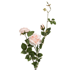 Peony Rose Flower - Home4u