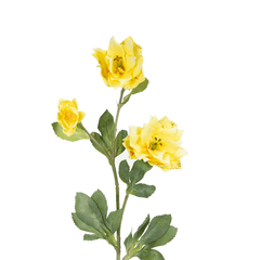 Hibiscus Flower - Home4u