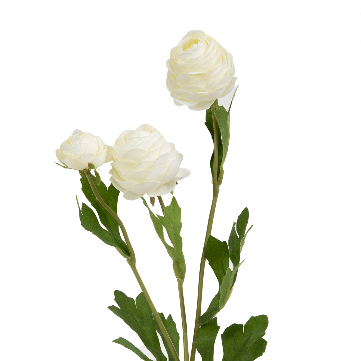 Ranunculus Flower - Home4u