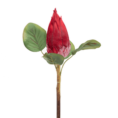 Protea Flower Bud Red - Home4u