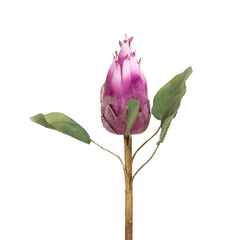 Protea Flower Bud Purple - Home4u