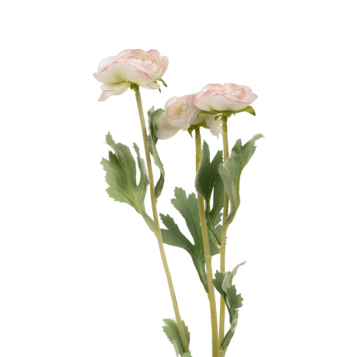 Ranunculus Flower Small - Home4u