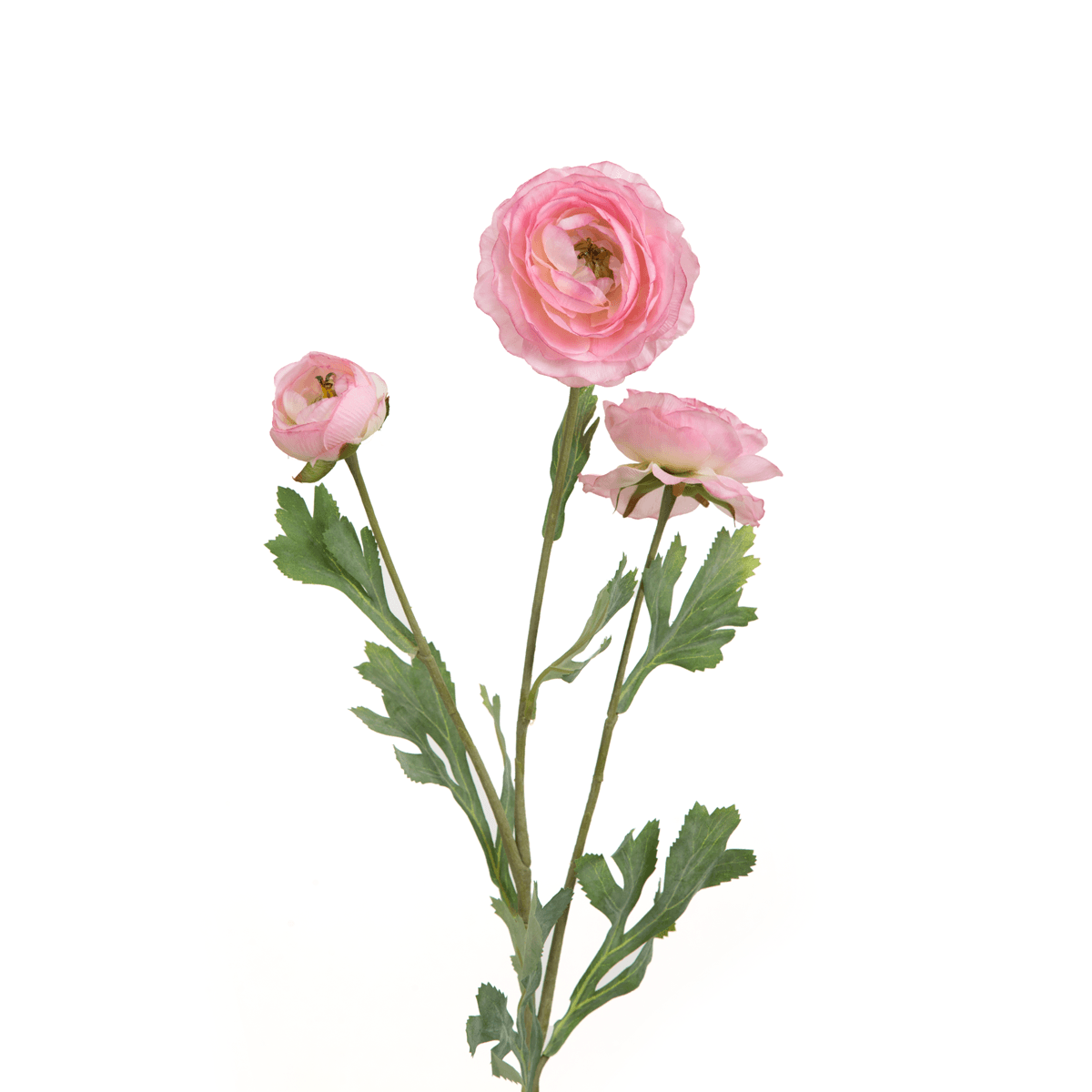 Ranunculus Flower Large - Home4u
