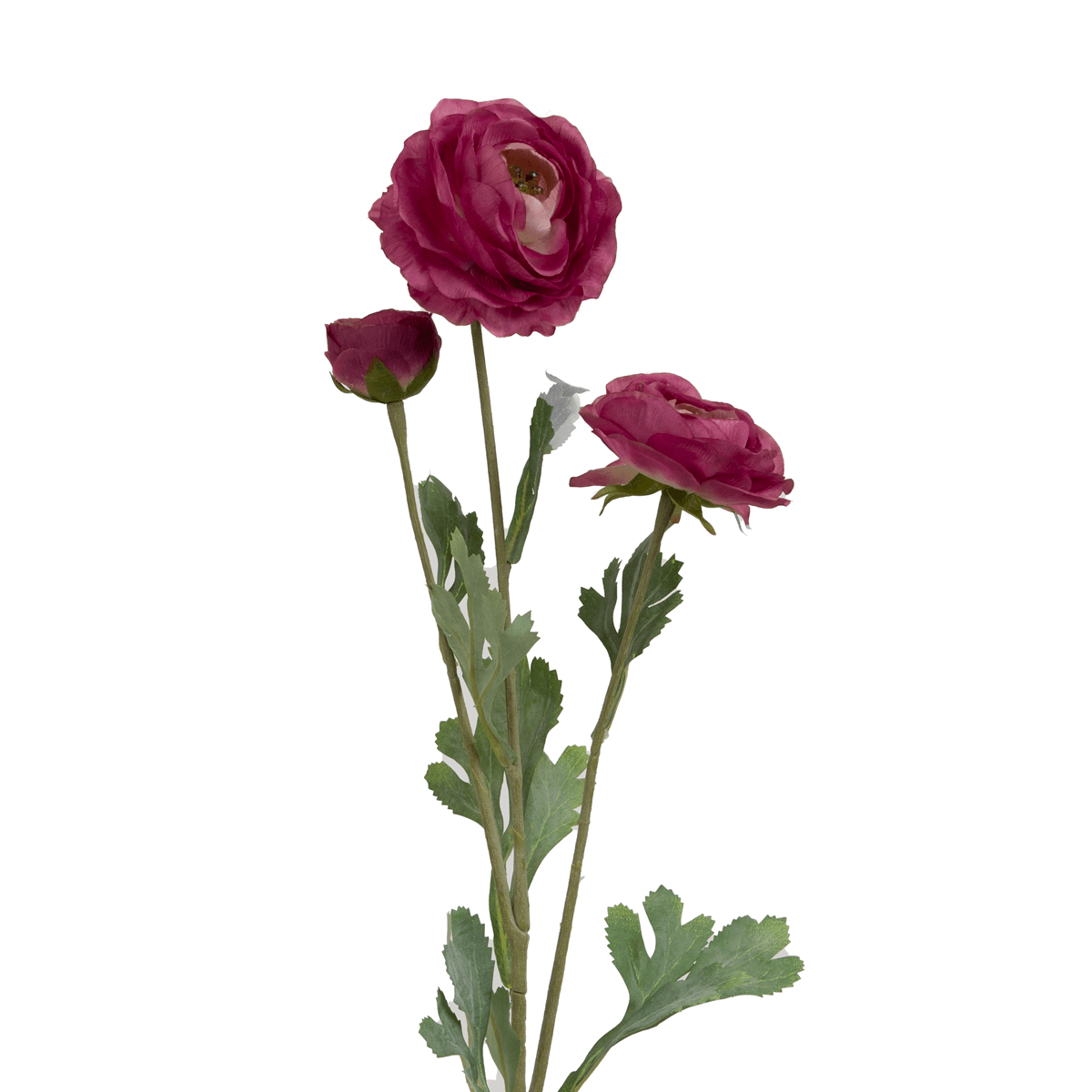 Ranunculus Flower Pink - Home4u