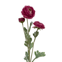 Ranunculus Flower Pink - Home4u