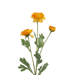 Ranunculus Flower Large Orange - Home4u