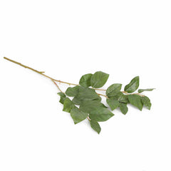 Sabah Leaf Medium