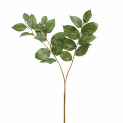 Sabah Leaf Medium - Home4u