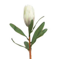 Princess Flower Bud Green - Home4u