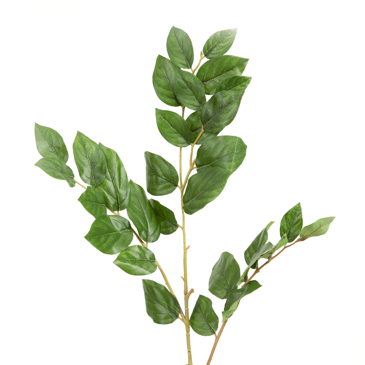 Sabah Leaf Dak Green - Home4u