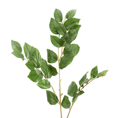 Sabah Leaf Dak Green - Home4u